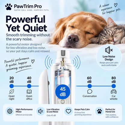 Nail Care, That Doesn't Stress Your Pet 🐾