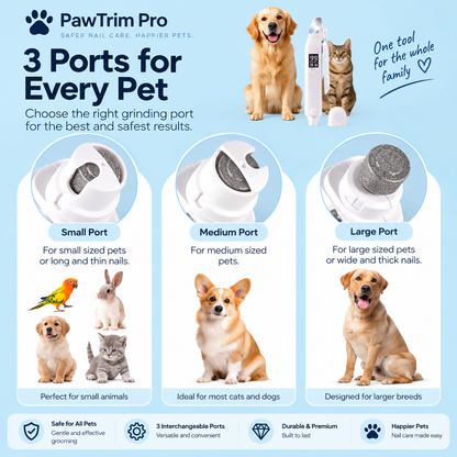 Nail Care, That Doesn't Stress Your Pet 🐾
