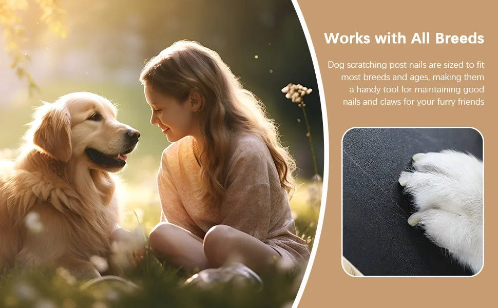 PawFile™ Dog Nail Scratch Board