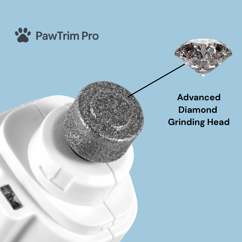 Nail Care, That Doesn't Stress Your Pet 🐾