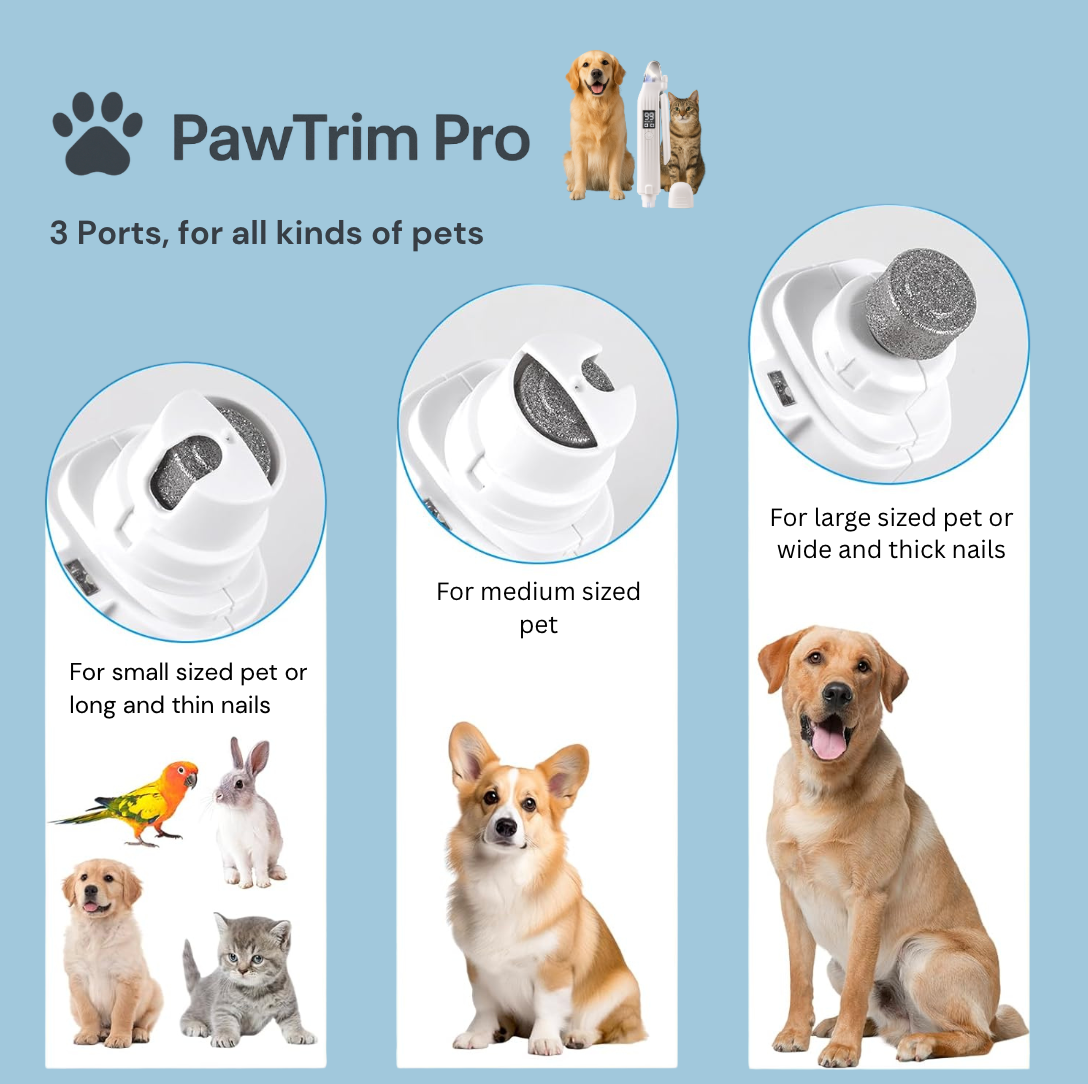 🐾 Nail Care That Doesn't Stress You or Your Pet.